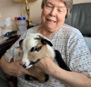 resident with a baby goat